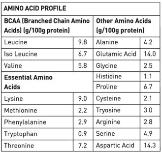 AVVATAR WHEY PROTEIN | 4 KG | Chocolate Hazulnut Flavour | 27g Protein | 114 Servings | Isolate & Concentrate Blend | Product Expiry - 10/12/25